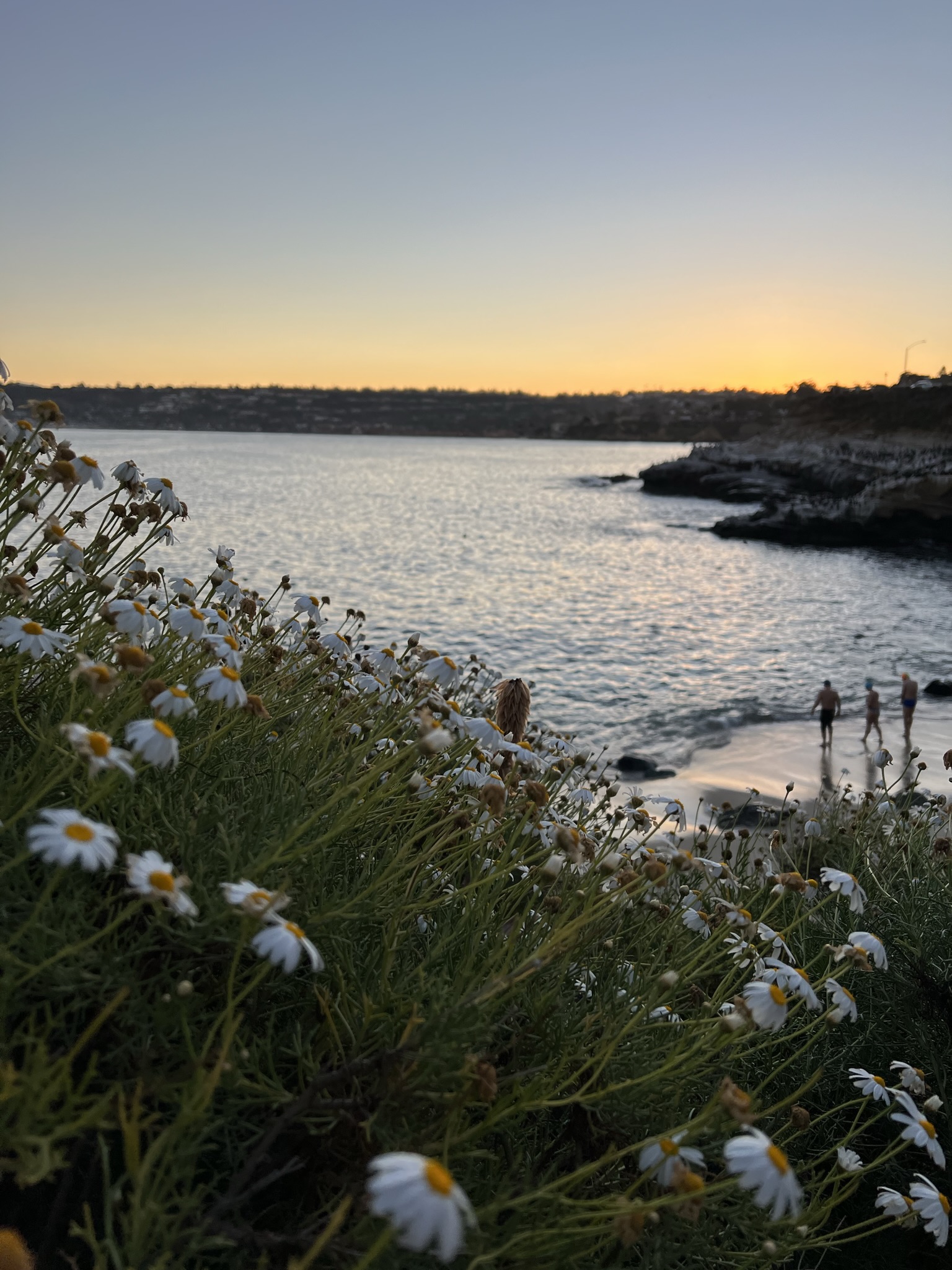 La Jolla Cove